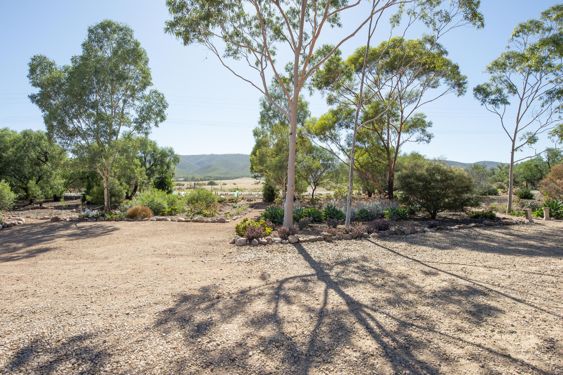 47 Scenic Drive, Napperby Blights Real Estate