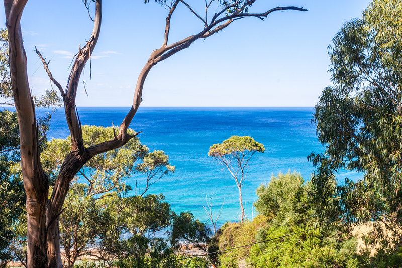 5 Iluka Avenue, Wye River, VIC, Wye River - Thumbnail 3