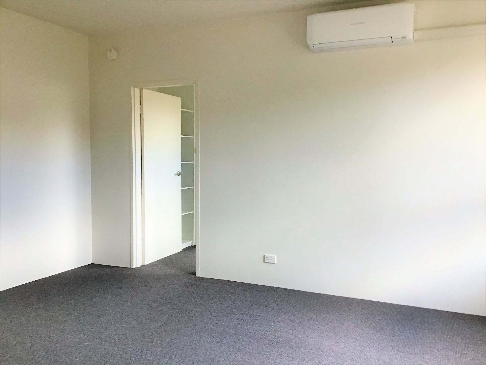 Oversized Renovated Apartment