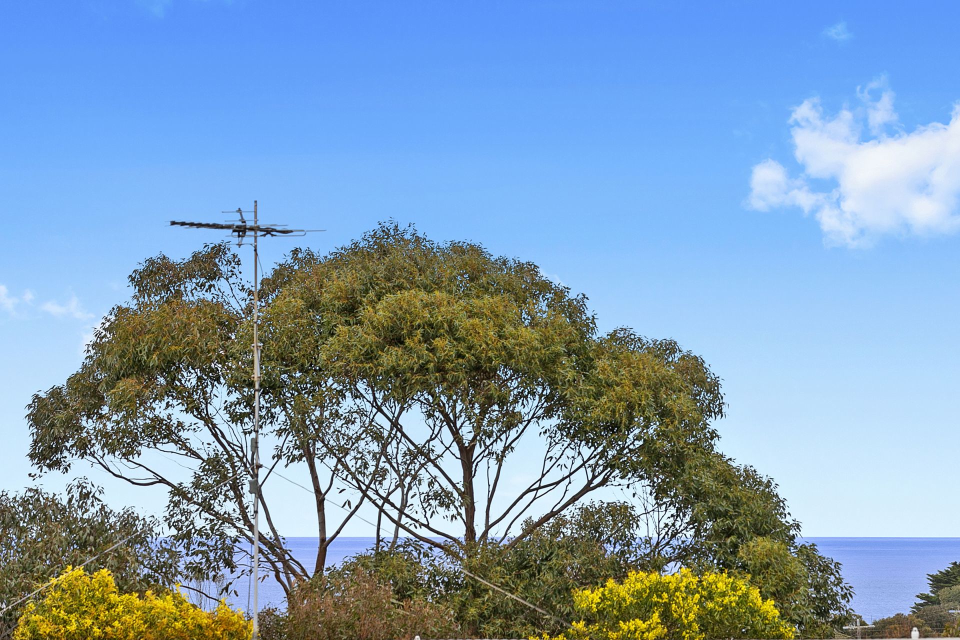 11 Sixth Avenue, Anglesea - Thumbnail 4