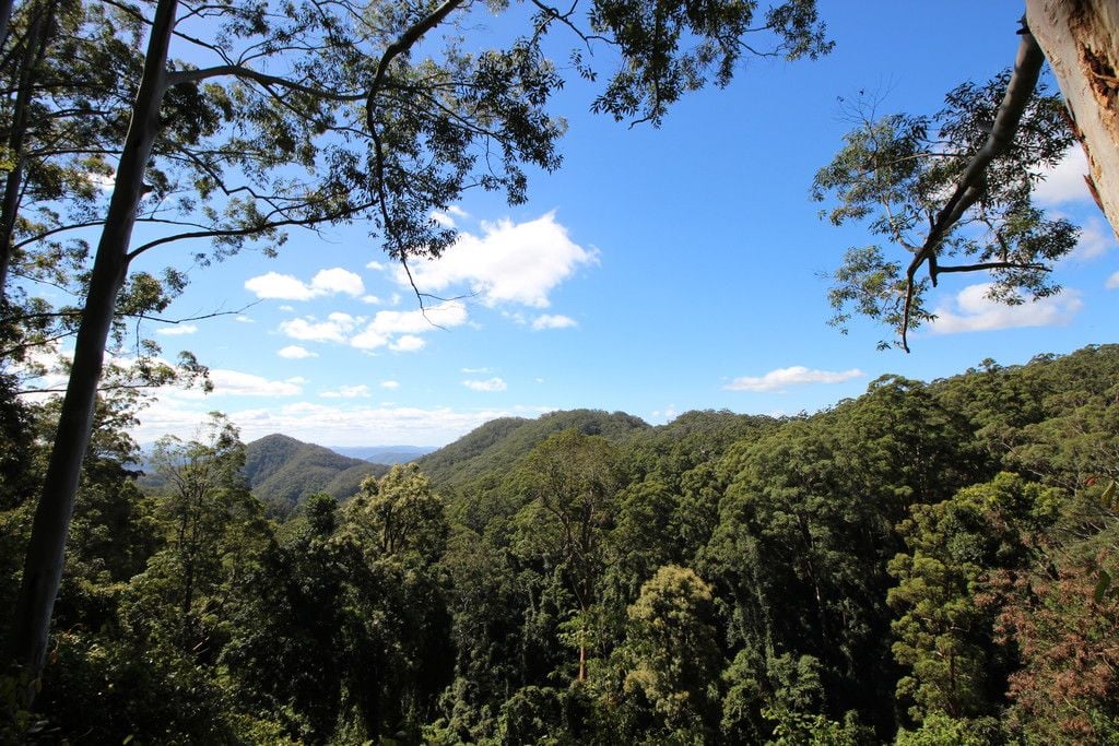 389 Playfords Road, COMBOYNE NSW 2429