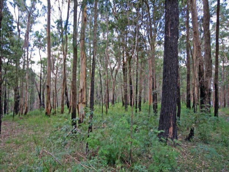 25 East Street, Kurrajong Heights - Thumbnail 3