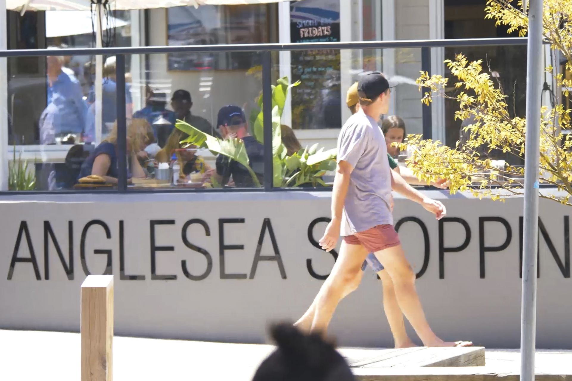 Lot 2/9 Walker Street, Anglesea - Thumbnail 8