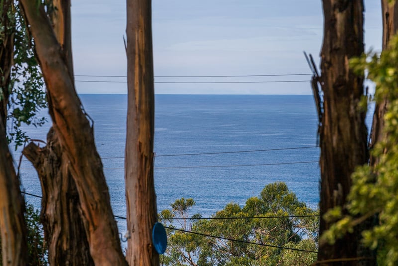 10 Cassidy Drive, Kennett River, VIC, Kennett River - Thumbnail 6