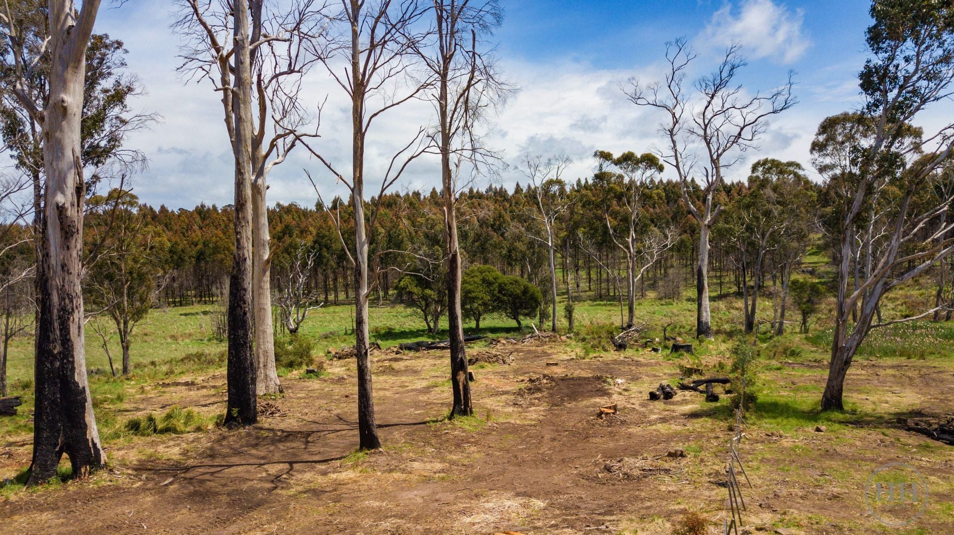 12 Hunting Ground Road NUNAMARA, Nunamara - Thumbnail 3