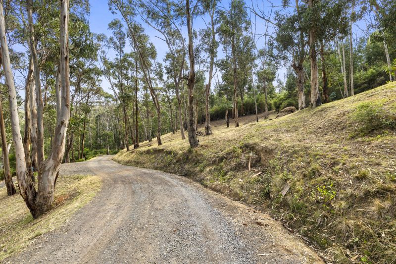 3/20 Dollar Drive, Separation Creek, VIC, Separation Creek - Thumbnail 4