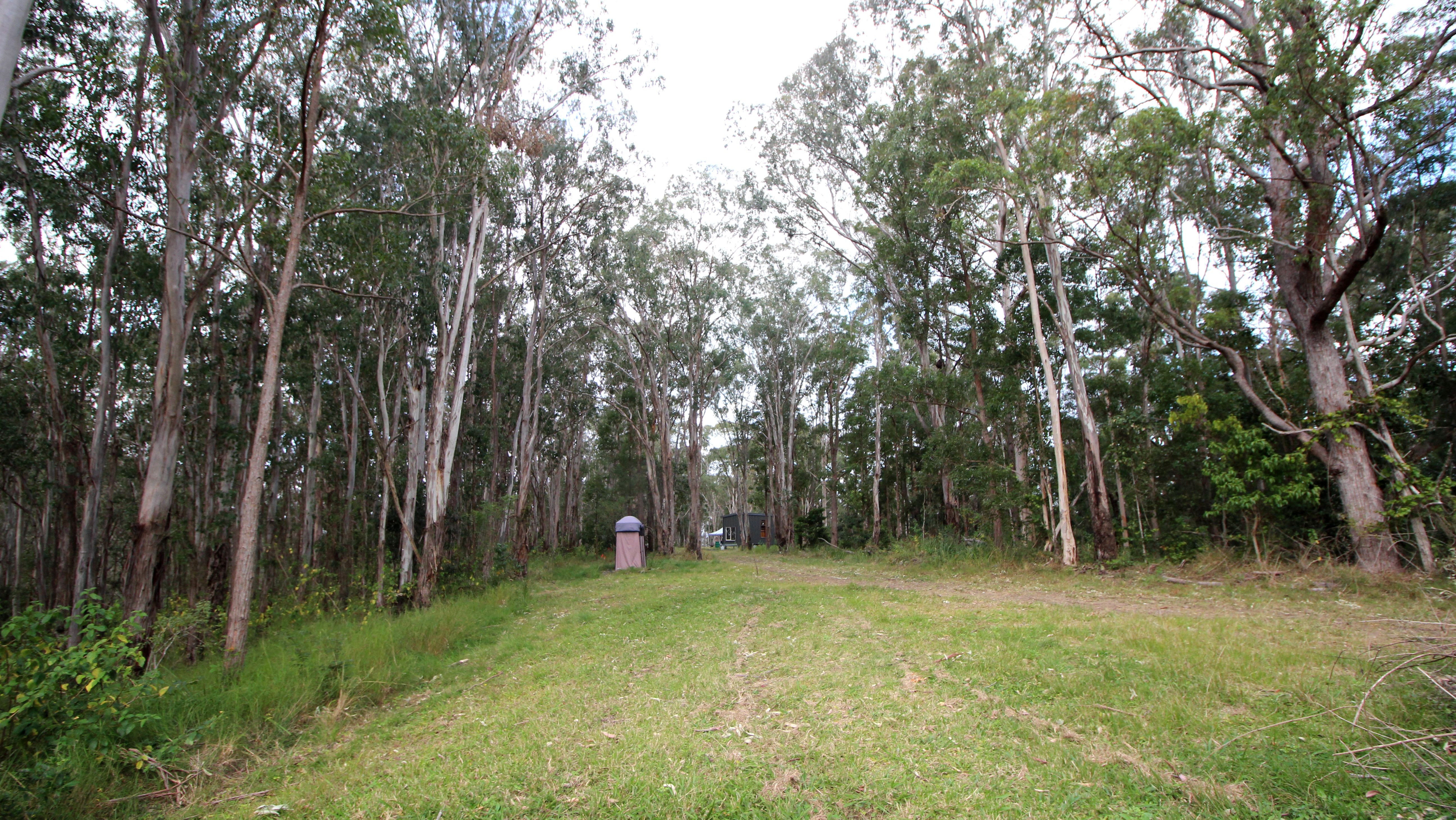 Lot 178 Lorne Rd, Batar Creek via, LORNE NSW 2439