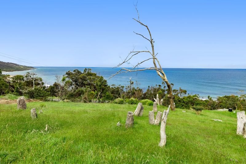 3 Ridge Drive, Kennett River, VIC, Kennett River - Thumbnail 5