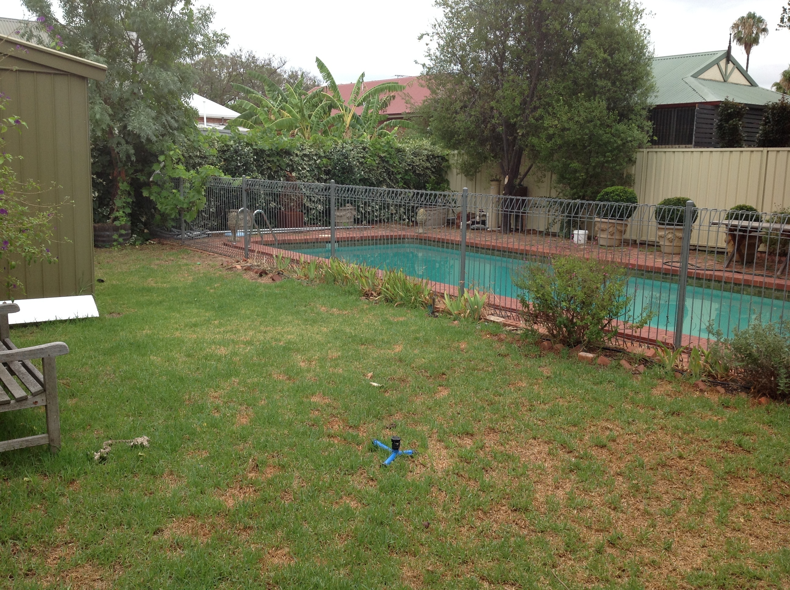 48 Mitchell Street  Millswood 5034