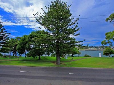 13
 
 
 
  
 
 
 10
 
 
 
 
 
 
 
 
 18 Victoria Parade, DEVONPORT TAS 7310, Devonport - Thumbnail 5