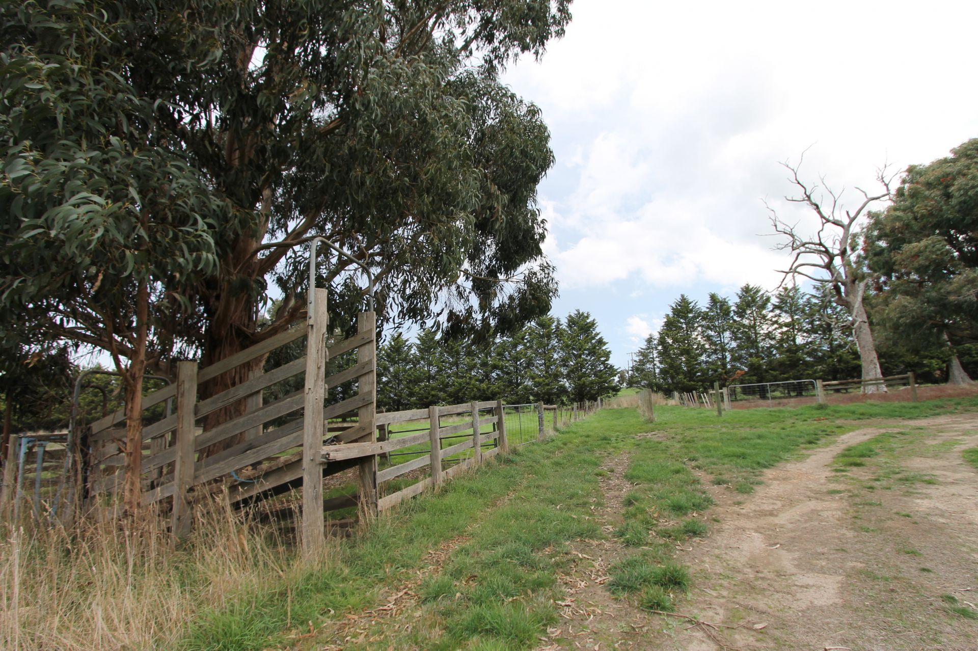 RARE LEASING OPPORTUNITY - 20 ACRES - 8.09 ha