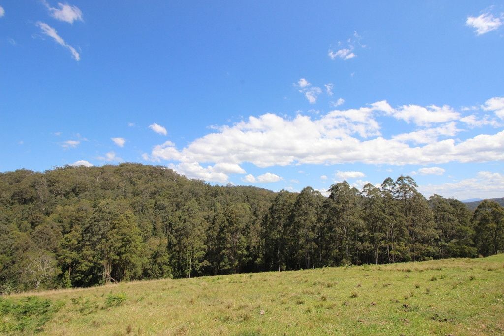 , BIRDWOOD NSW 2446