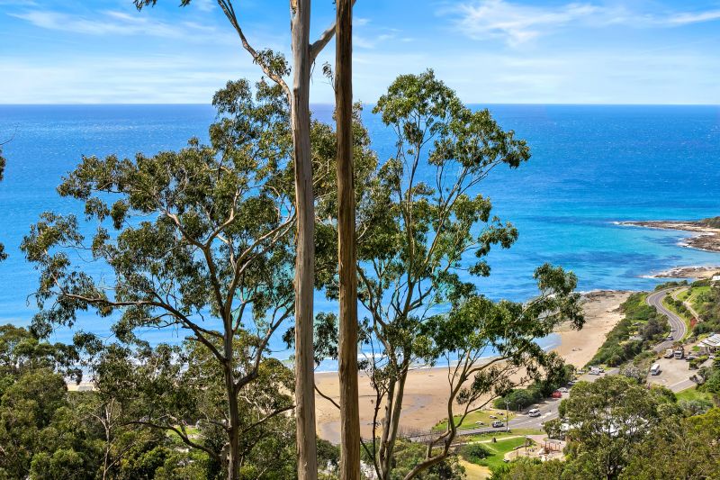 16 Karingal Drive, Wye River, VIC, Wye River - Thumbnail 2