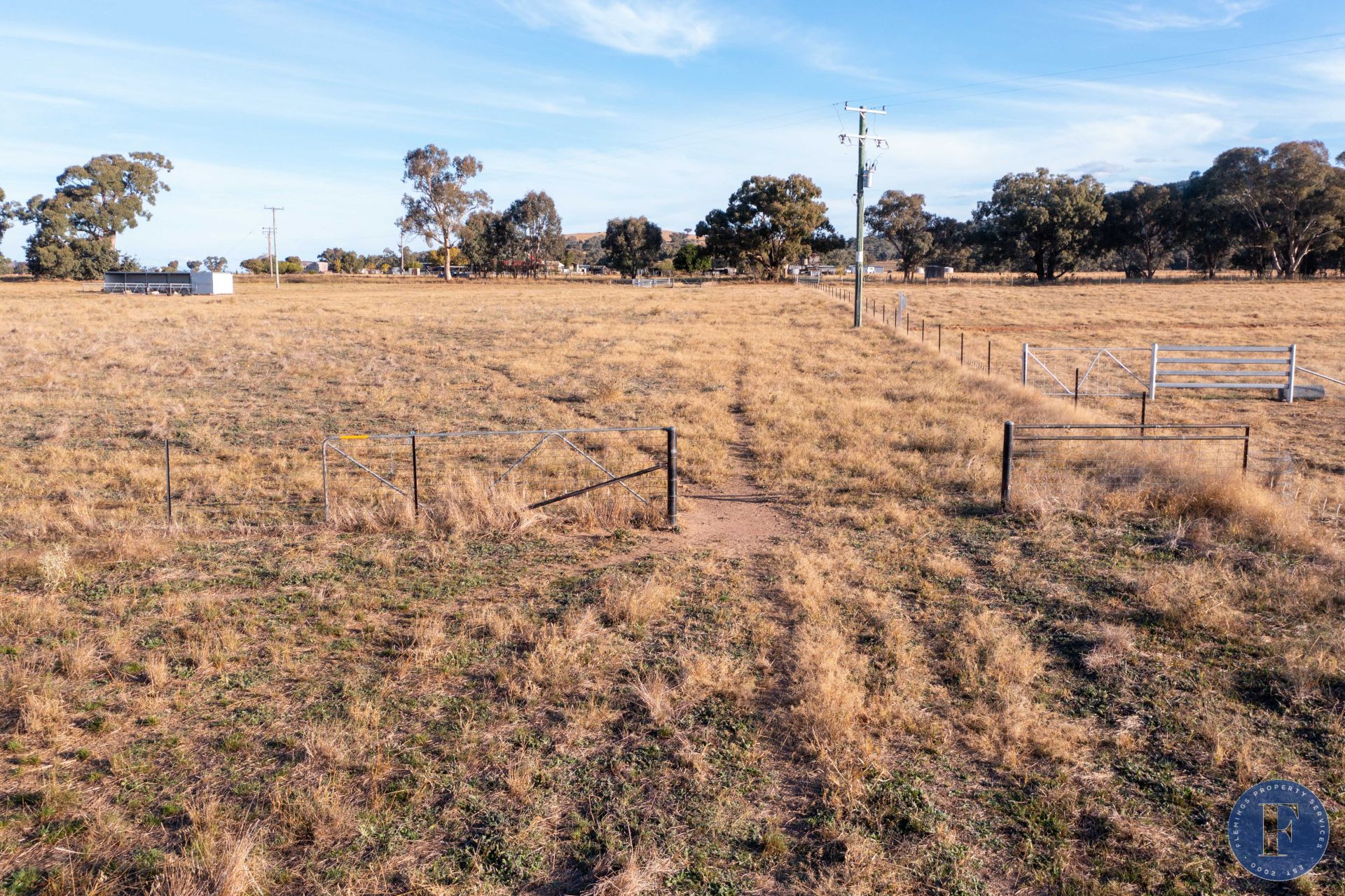 405 Back Brawlin Road, Cootamundra NSW, Cootamundra - Thumbnail 8