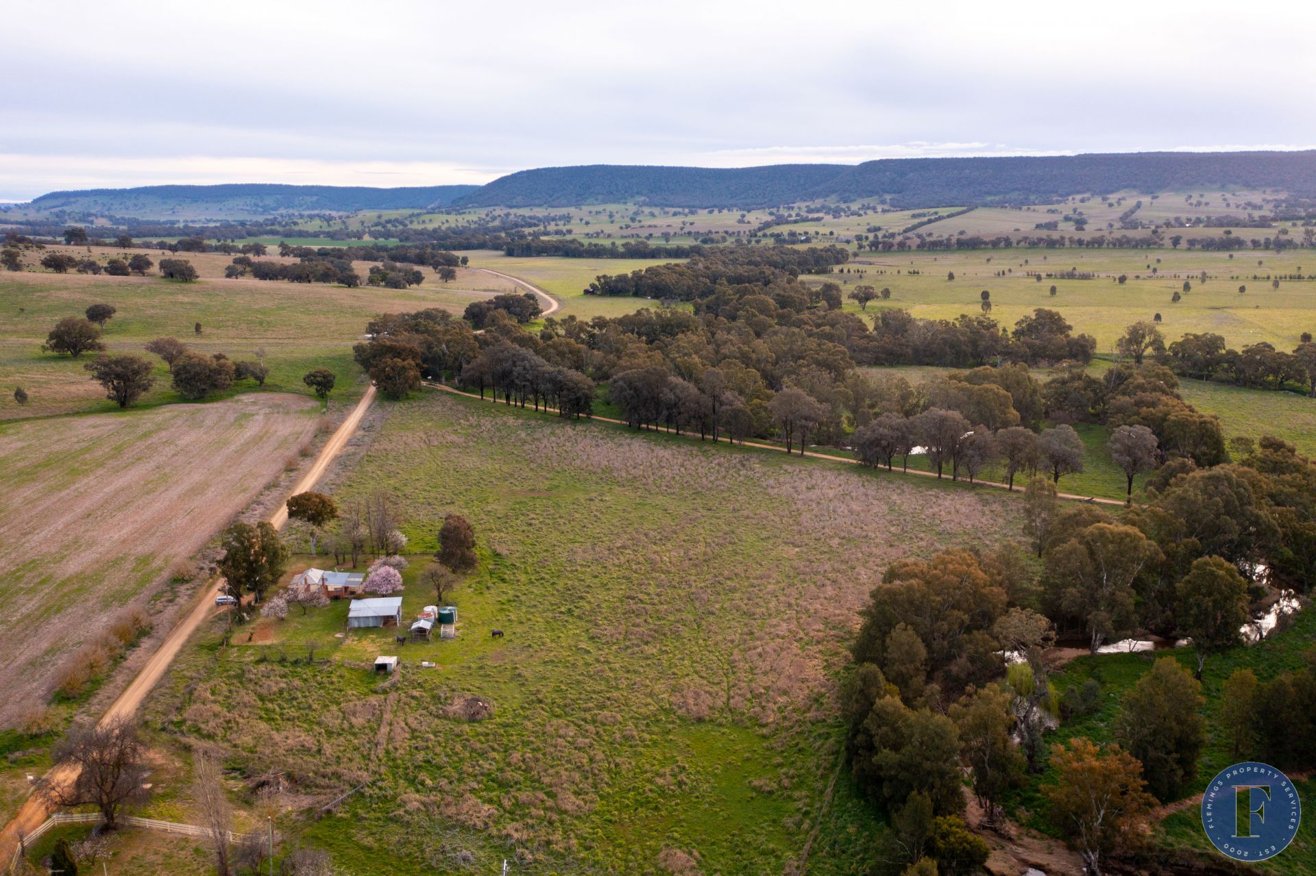 801 Murringo Flats Road, Murringo NSW, Murringo - Thumbnail 5