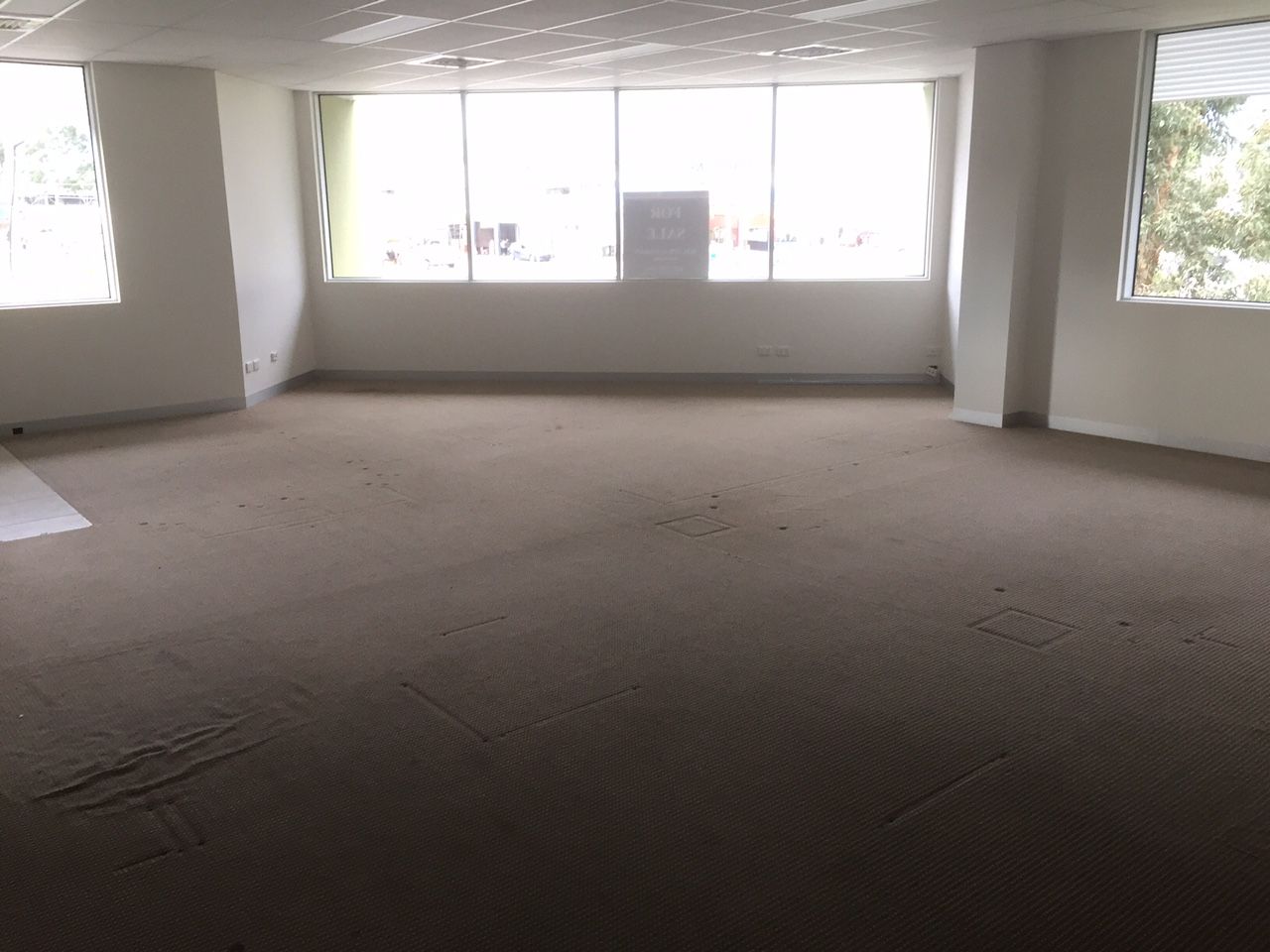 QUALITY OFFICE SPACE WITH AMPLE NATURAL LIGHT!!!