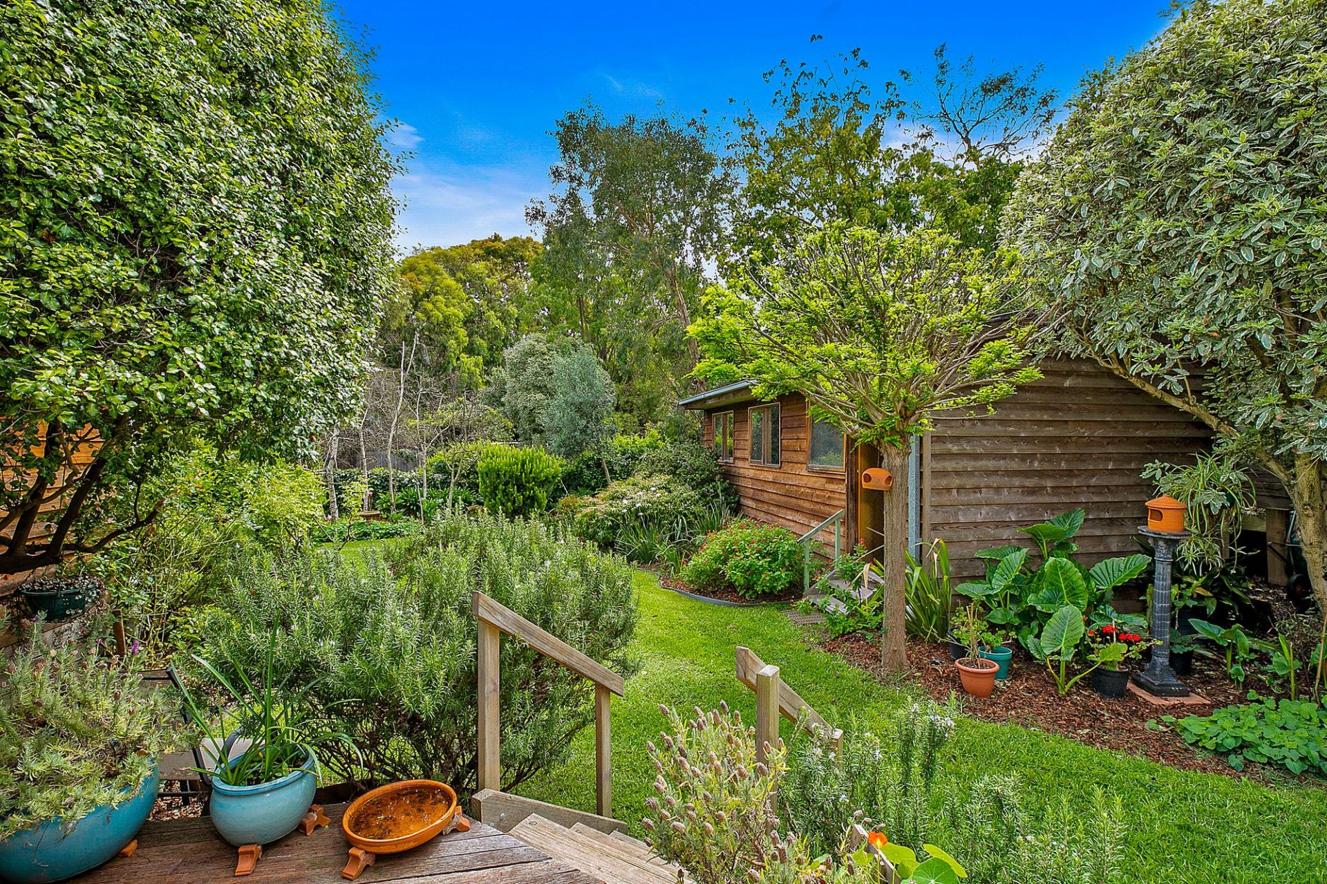 31 Kalinga Road Ocean Grove VIC, Ocean Grove - Thumbnail 6