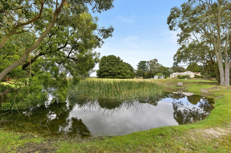 1125 Winchelsea – Deans Marsh Road BAMBRA VIC, Bambra - Thumbnail 2