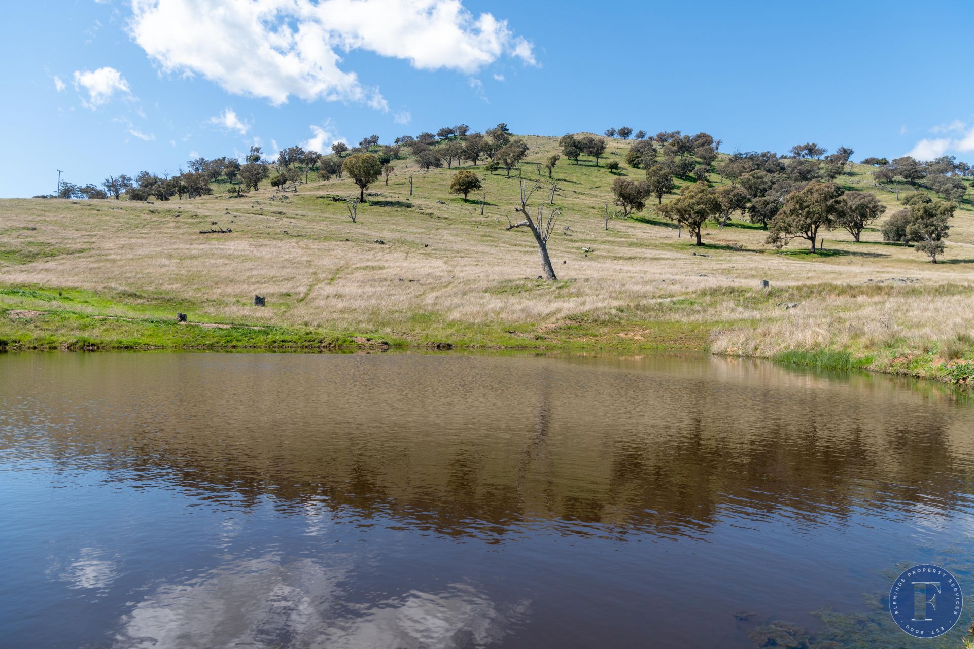 444 Hoares Lane, Coolac NSW, Coolac - Thumbnail 2