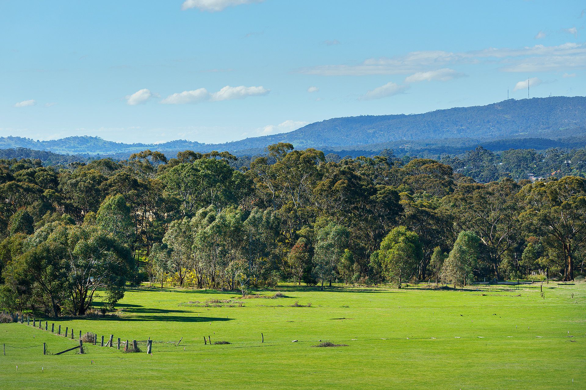 45/ Diamond Gully Road Muckleford, Road Muckleford - Thumbnail 8
