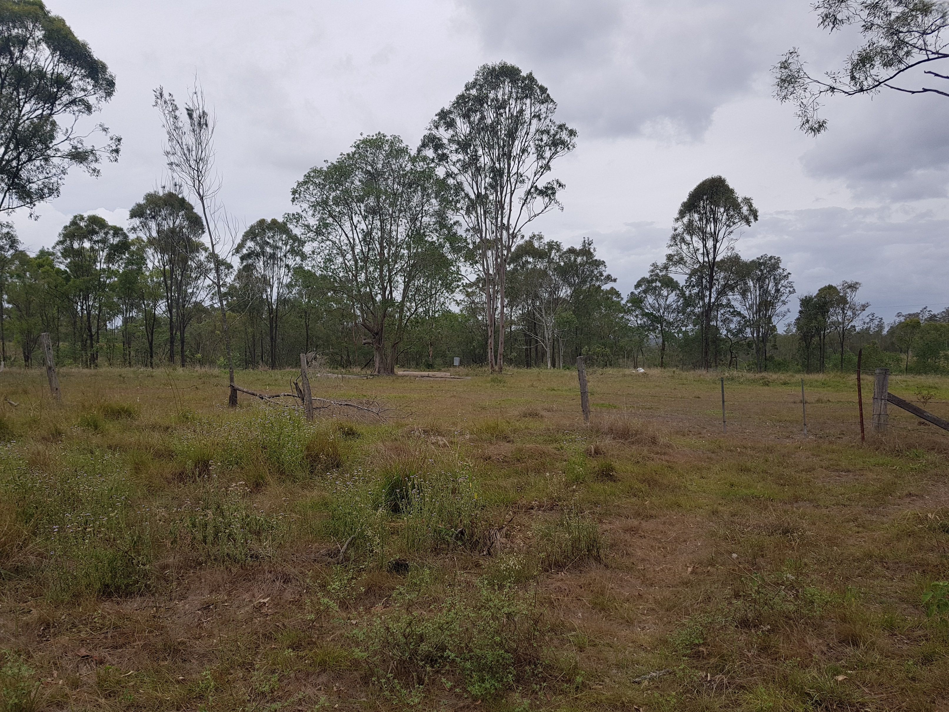 Real Estate For Sale 341 Horsecamp Rd Gin Gin , QLD