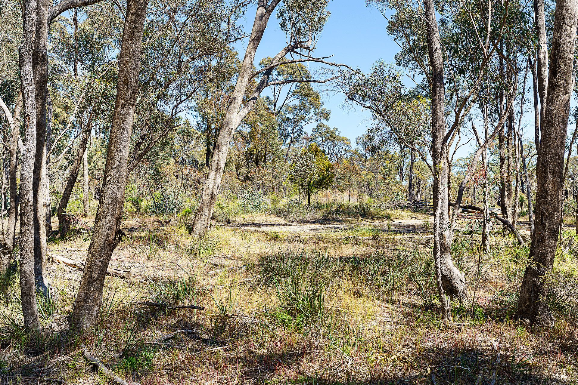 Lot 3/ Derby Road, Maryborough VIC 3465
