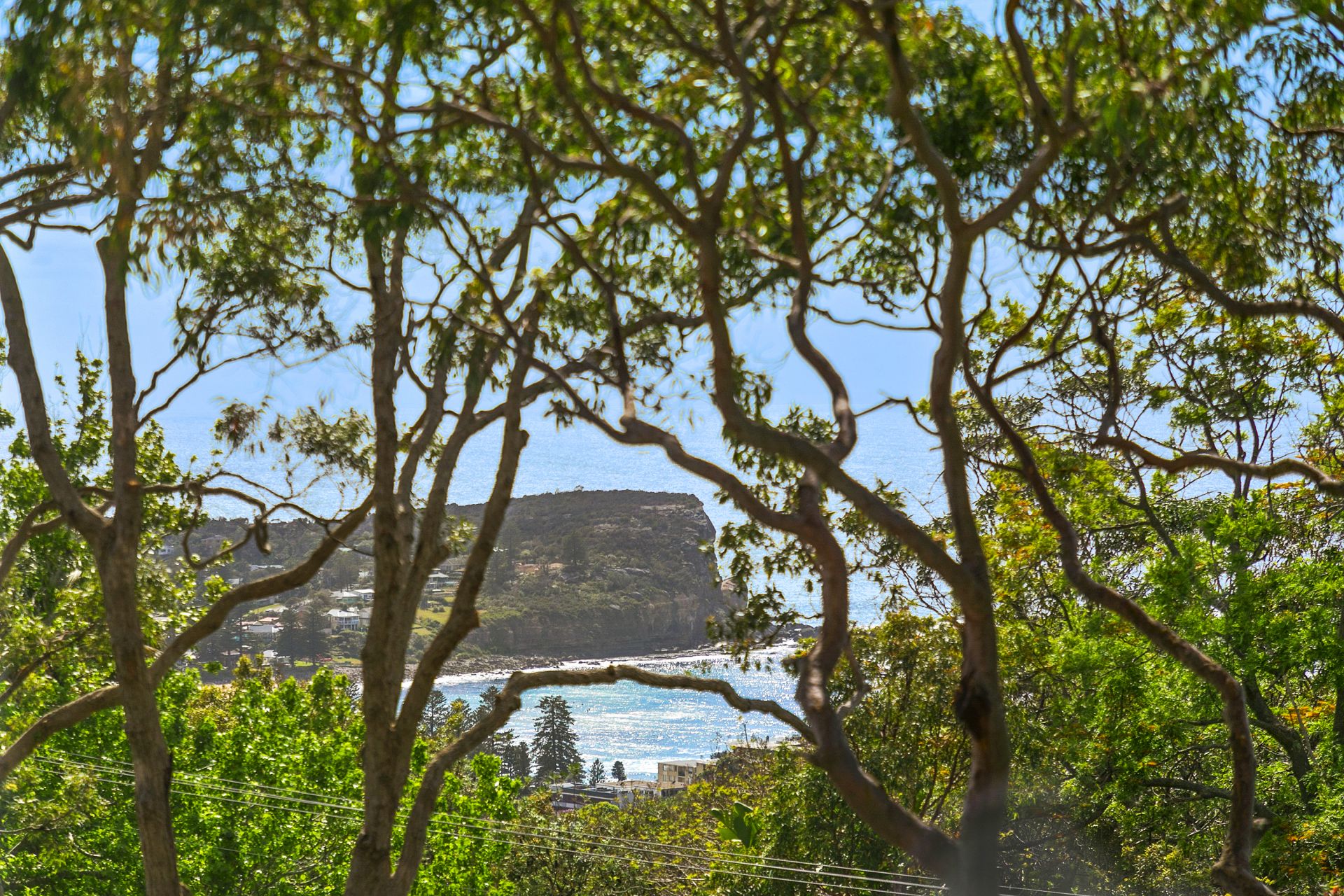 2 The Outlook Bilgola Plateau NSW 2107, 2 The Outlook Bilgola Plateau - Thumbnail 5