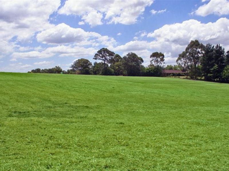 9 Vineys Lane, Dural - Thumbnail 2