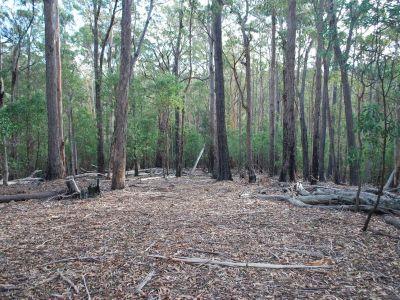 Lot 43 Red Gum Road, Yellow Pinch