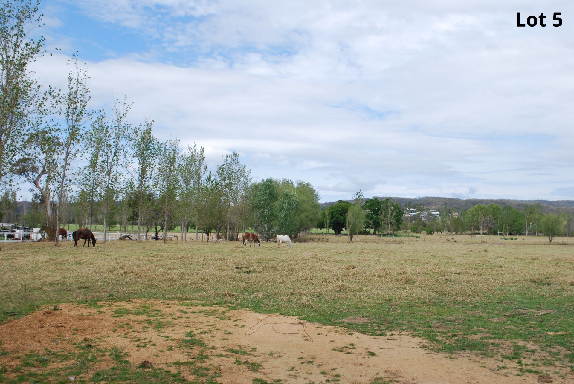 Proposed Lots 1, 3, 4 & 5 Oaklands Road, Pambula