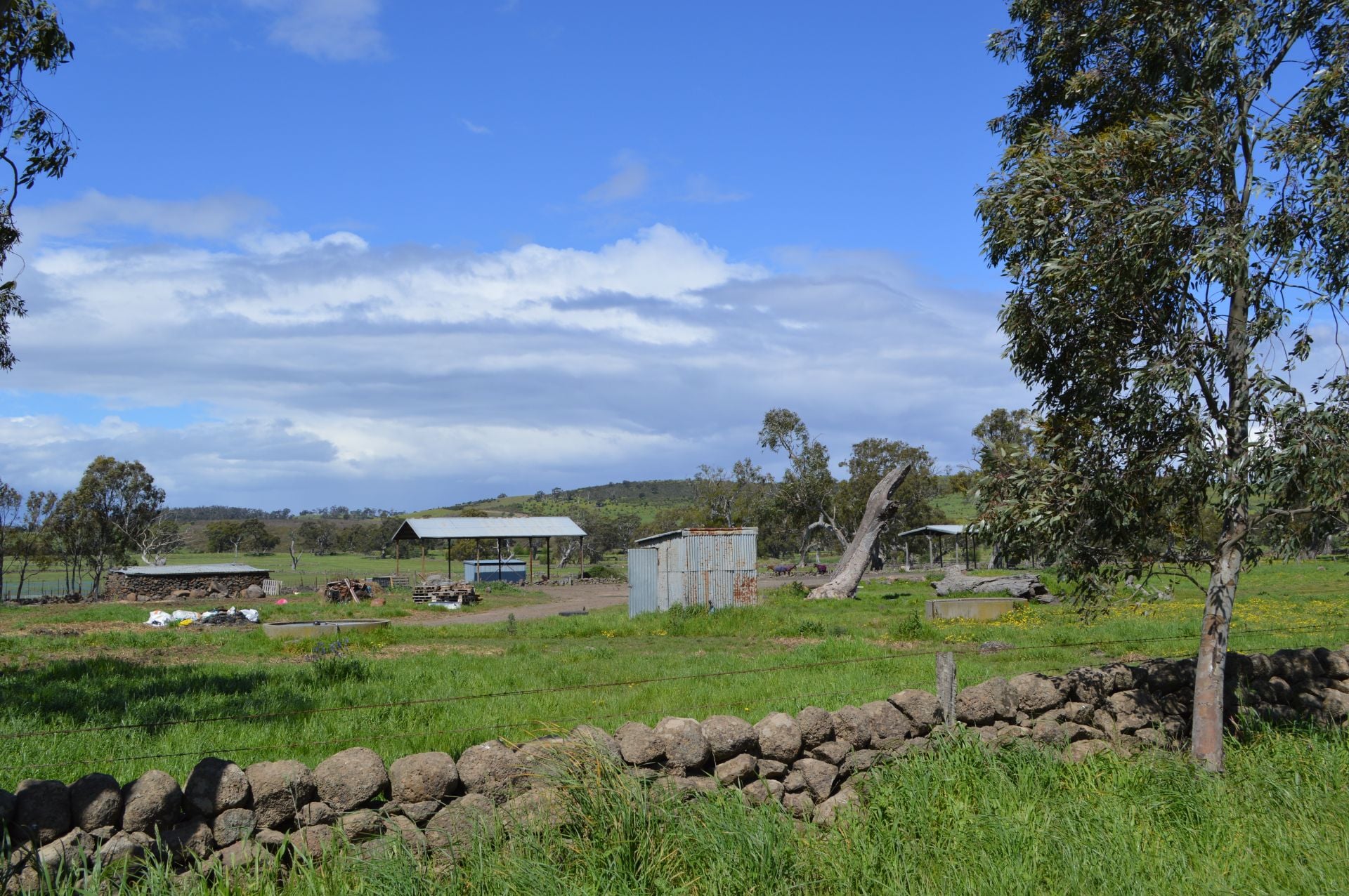 COUNTRY LIVING
