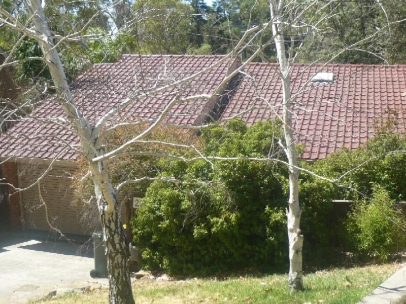29B Birksgate Drive Urrbrae 5064