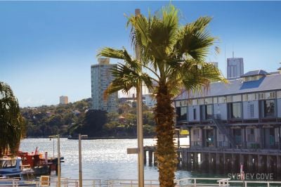 5 Towns Place, SYDNEY NSW 2000, Sydney - Thumbnail 3
