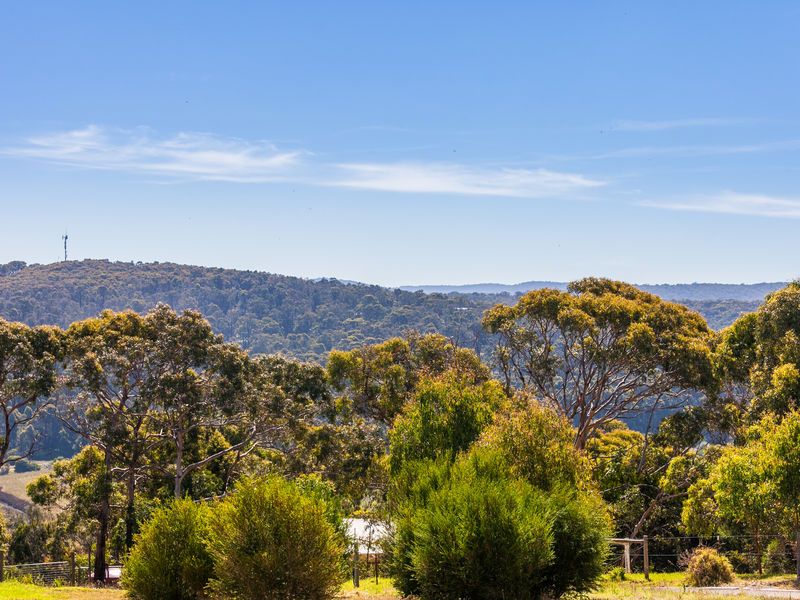 1/31-33 Pearse Road, Aireys Inlet - Thumbnail 4