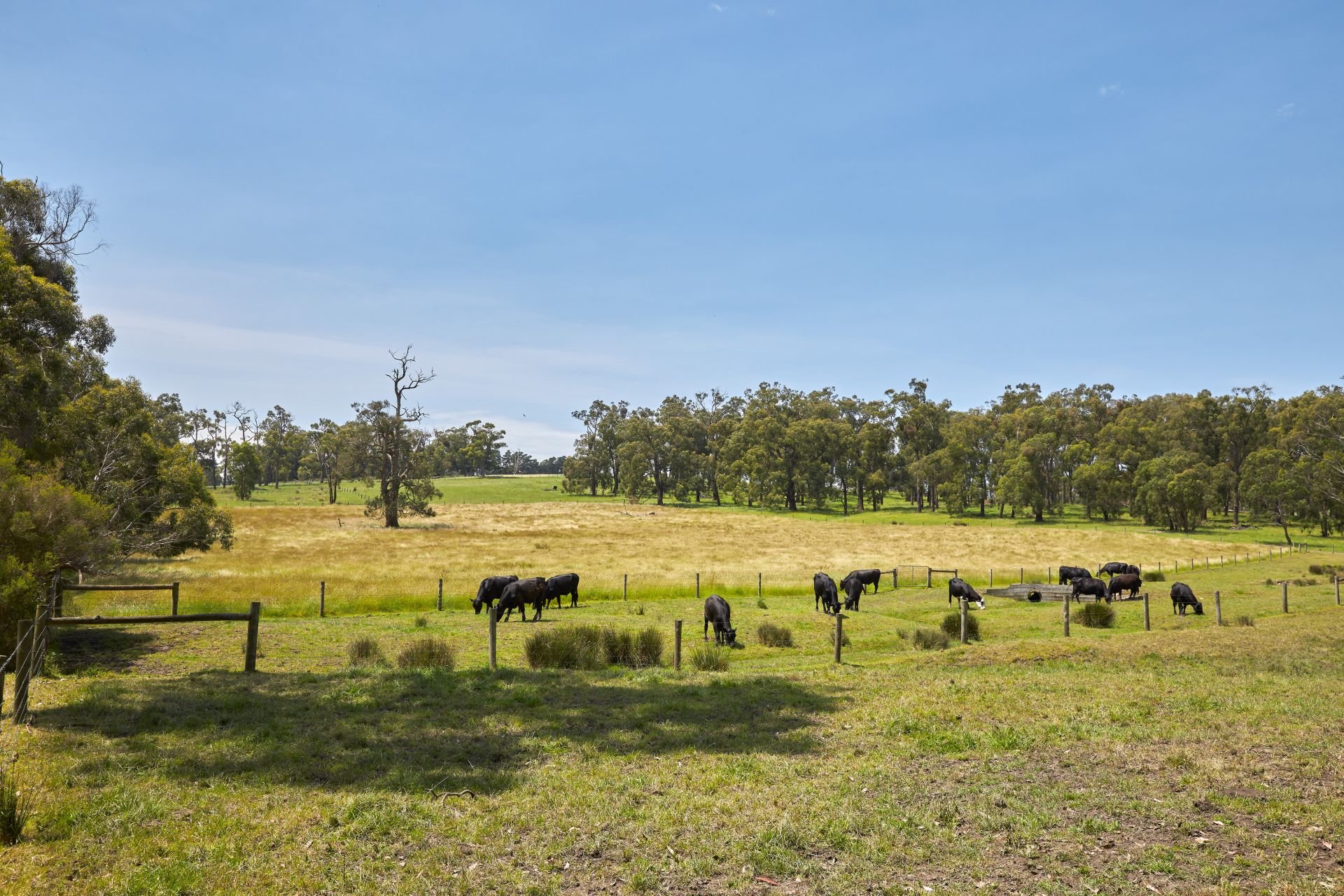 110 Phillips Road, Heath Hill OBrien Real Estate