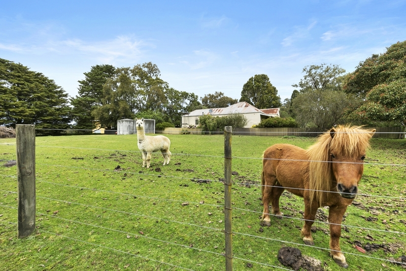 1125 Winchelsea – Deans Marsh Road BAMBRA VIC, Bambra - Thumbnail 3