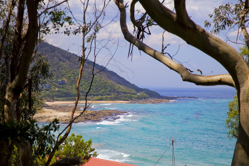 2/3 Great Ocean Road, Wye River, VIC, Wye River - Thumbnail 5