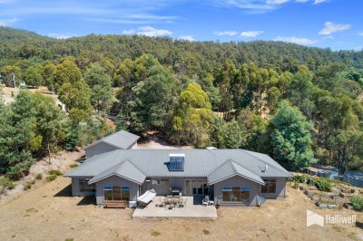 191 Knox Drive, South Spreyton, South Spreyton - Thumbnail 5