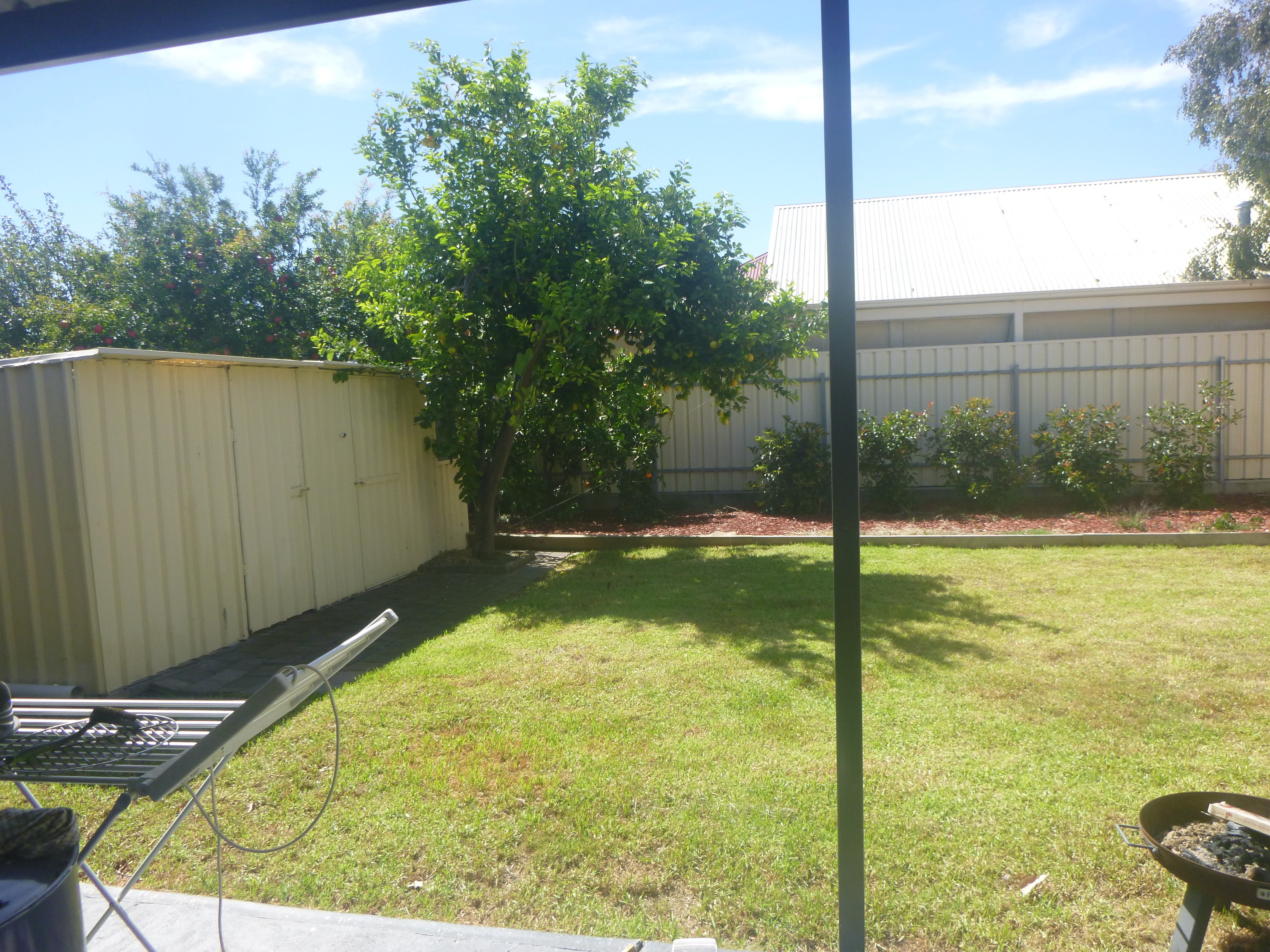29  Palm Avenue Royal Park 5014