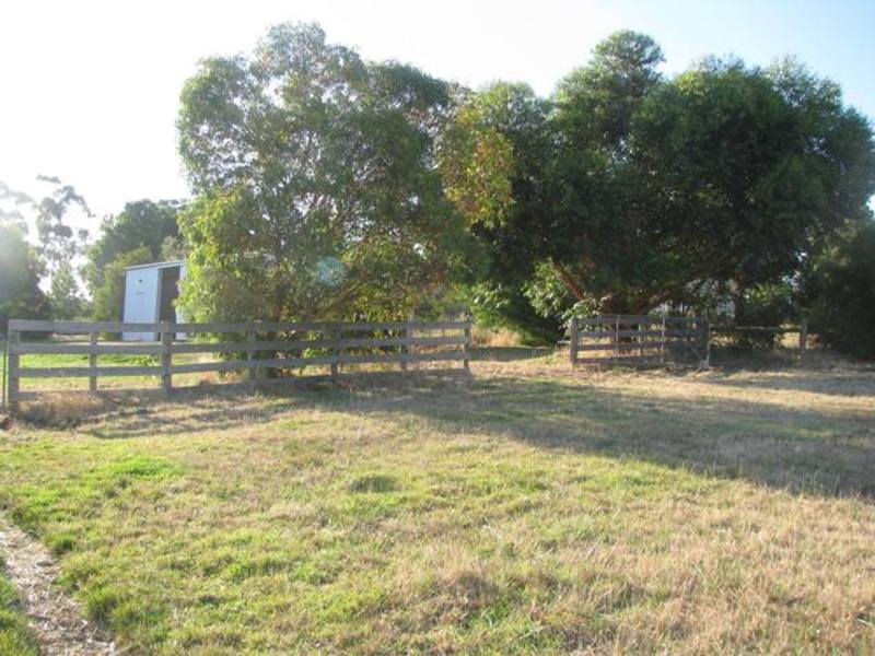 38 Ennis Street, Birregurra, VIC, Birregurra - Thumbnail 4