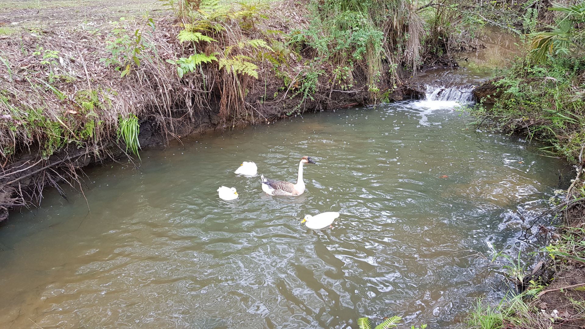 14 Gibber Place, Annangrove Lumby Real Estate