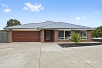 Wandong
