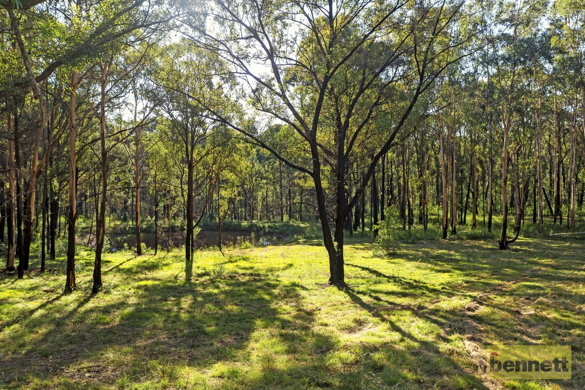 29 Barina Drive, Colo Heights - Thumbnail 8
