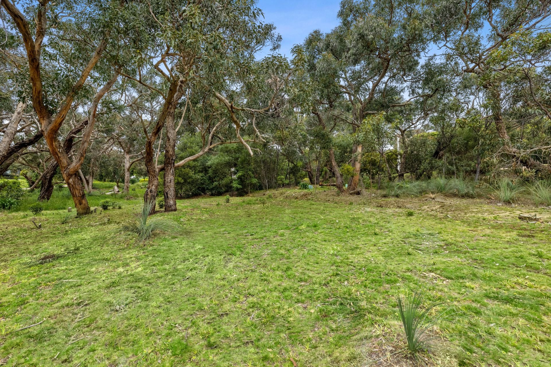 1A McMahon Avenue, Anglesea - Thumbnail 3