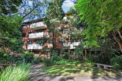 5/213-221 Bridge Road, Glebe