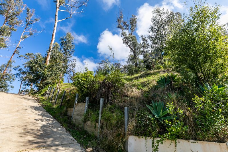 13 Koonya Avenue, Wye River, VIC, Wye River - Thumbnail 5