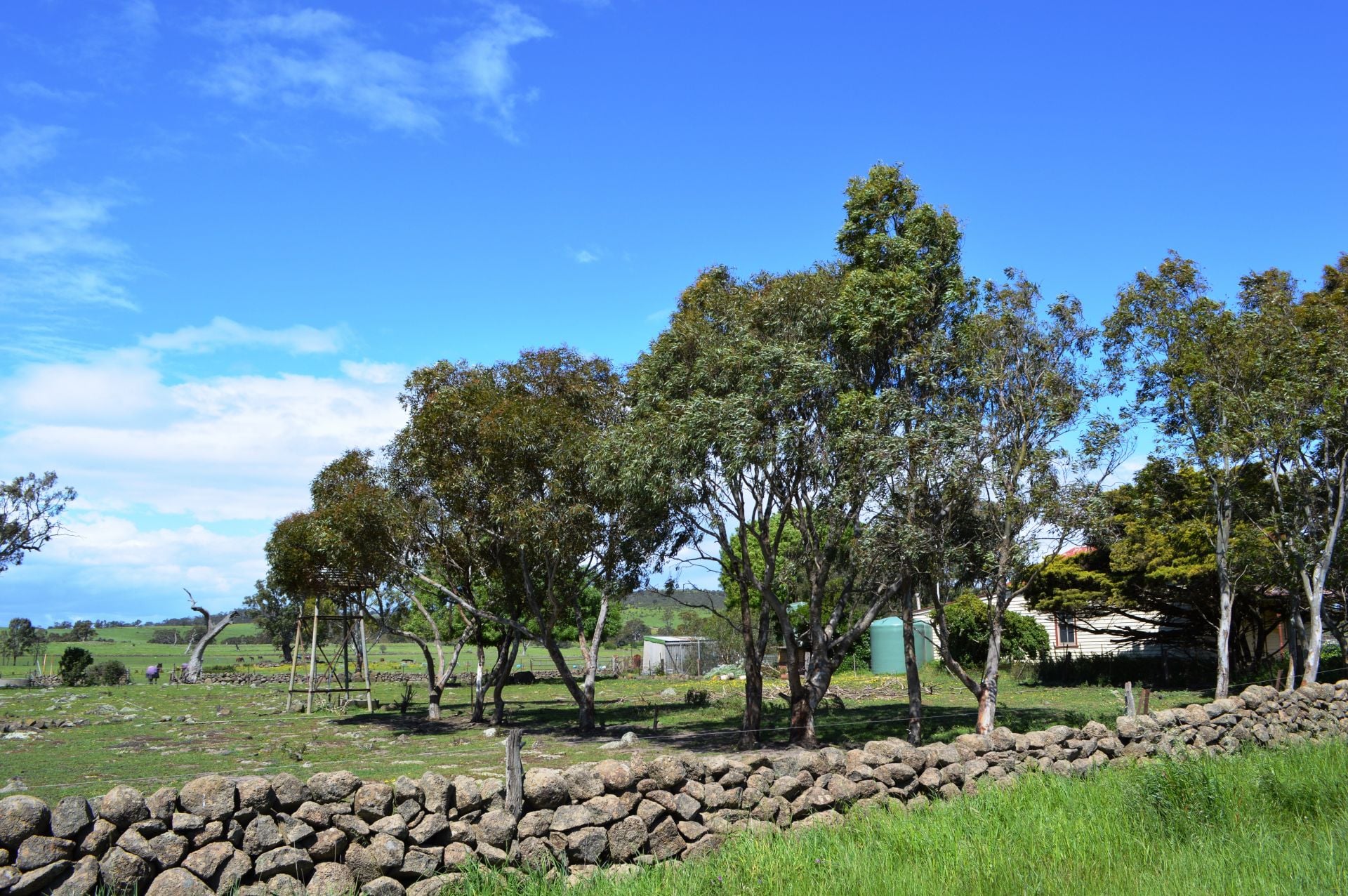 COUNTRY LIVING
