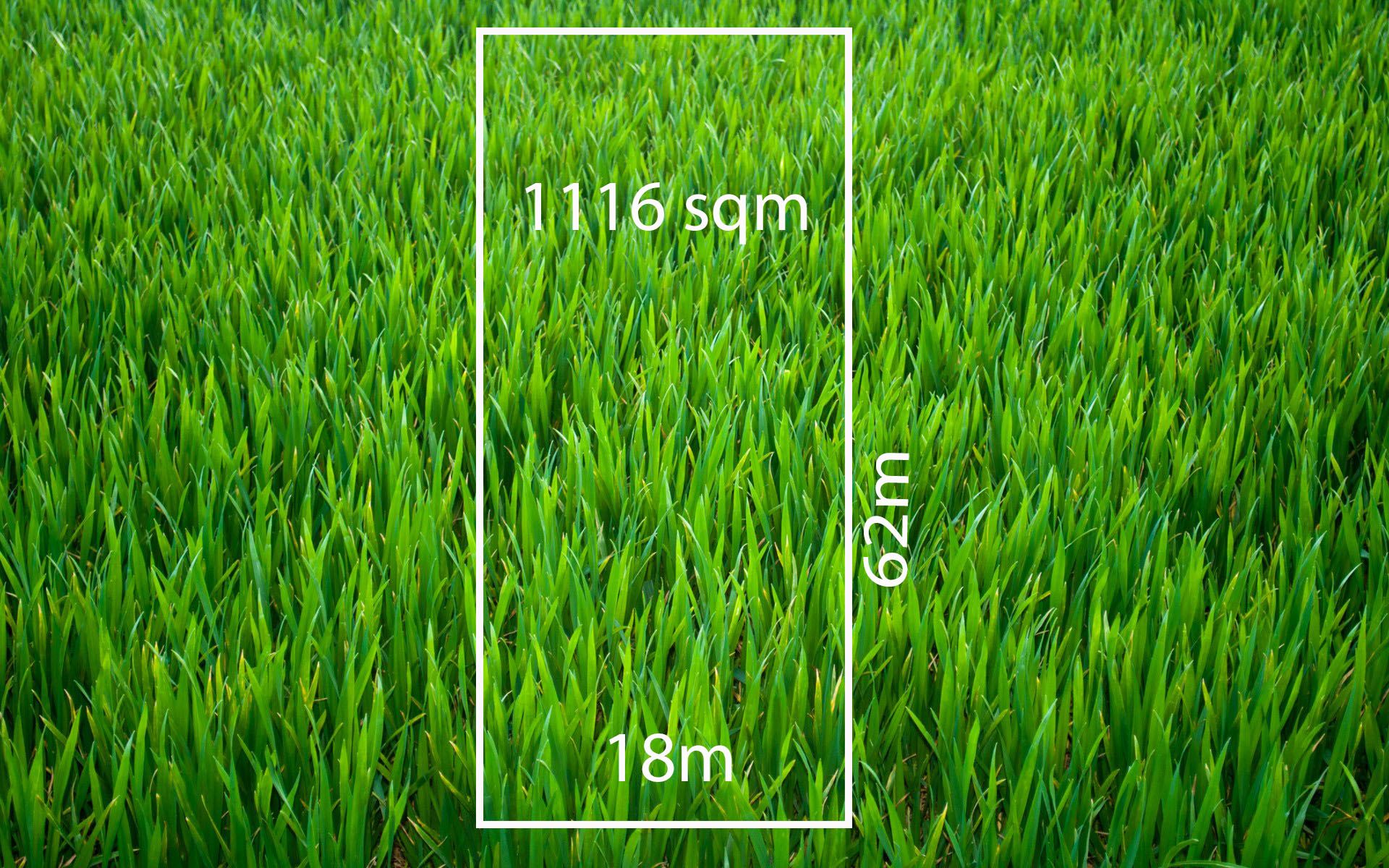 7 Rushwood Drive Craigieburn, Craigieburn - Thumbnail 2