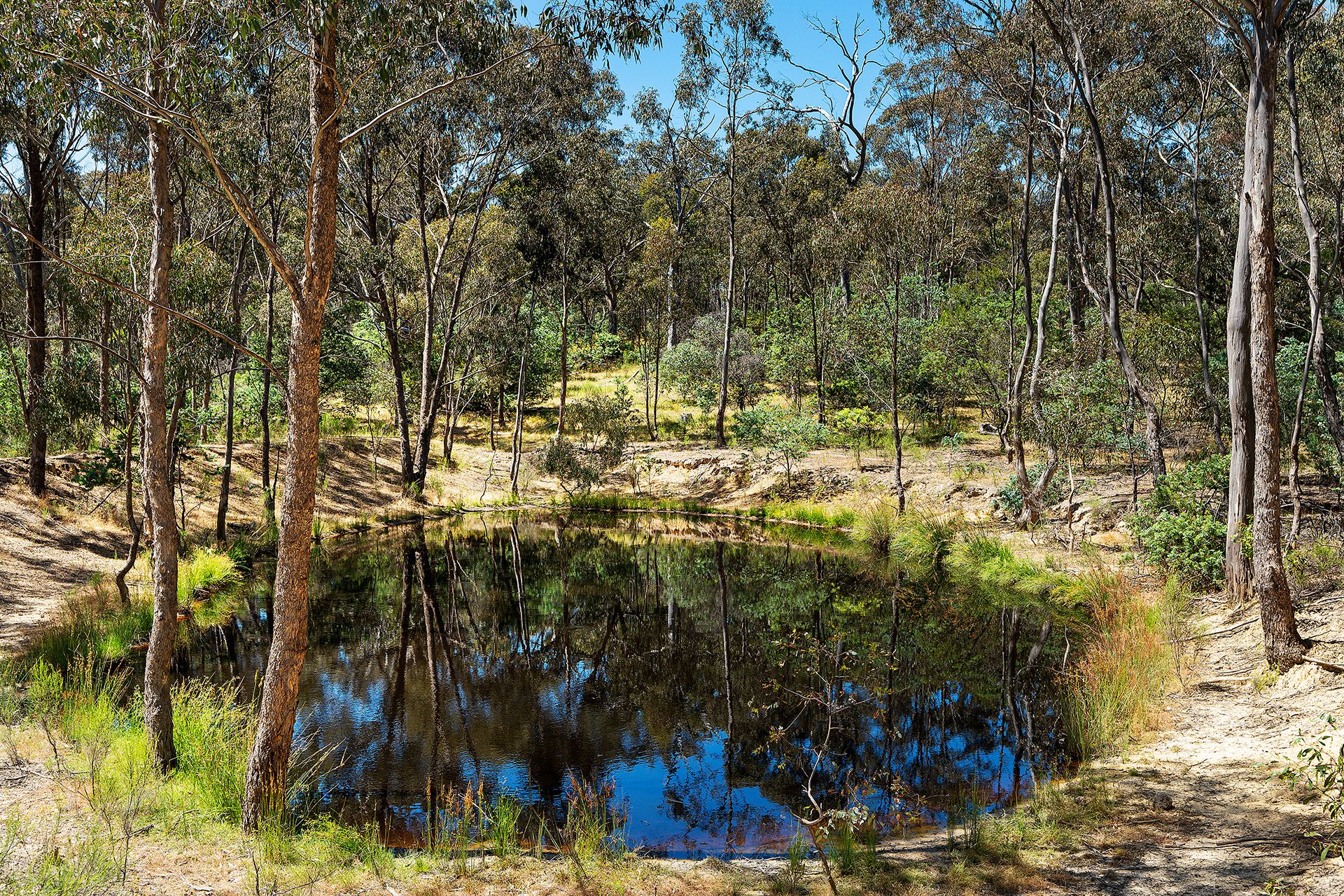 480 Boundary Gully Road Yandoit Hills, Yandoit Hills - Thumbnail 6