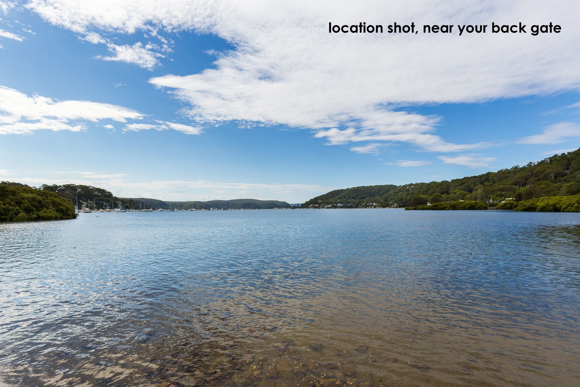 82a George Street Avalon NSW, Avalon - Thumbnail 5